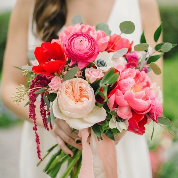 Meet your Posher, Isabel - Picture 1 of 1